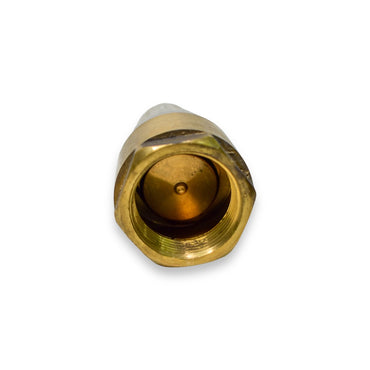 Válvula de Pie (Pichancha) con Canastilla Plástica - 3/4"