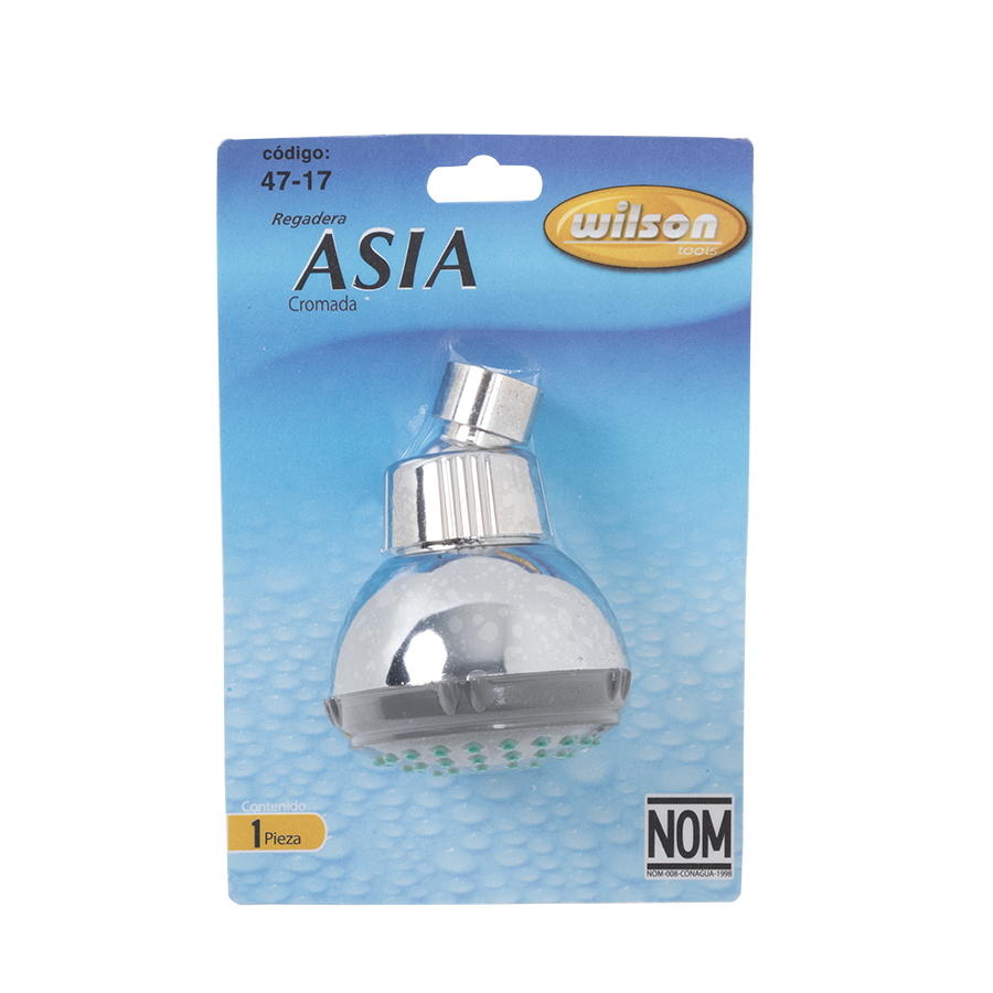 Cabezal de Regadera para Baño Mod. Asia