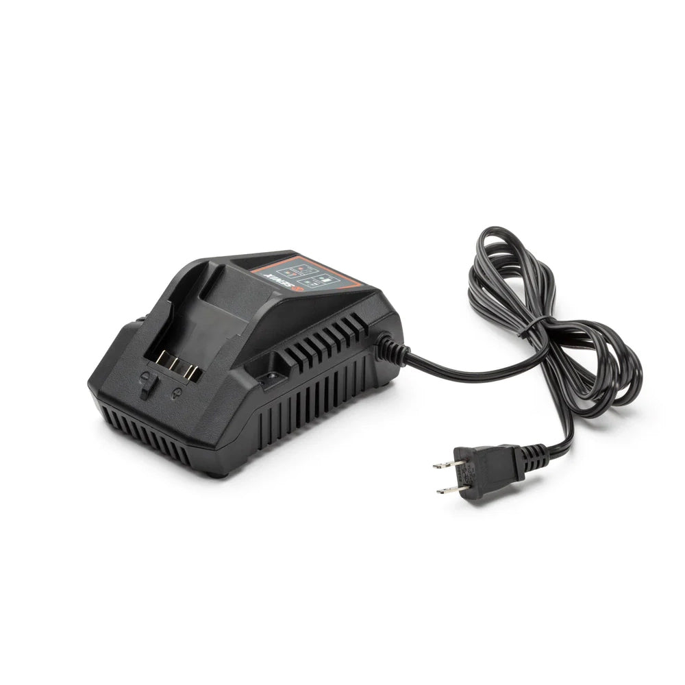 Cargador de Batería de Iones de 20 Voltios, 2.5 AH