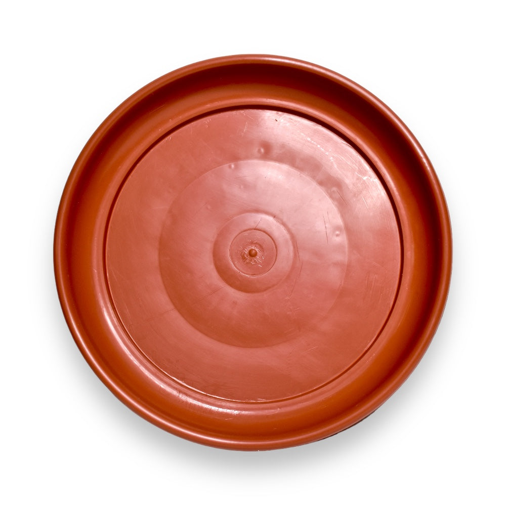 Plato para Maceta #7, #9, #10 y #12 - #7