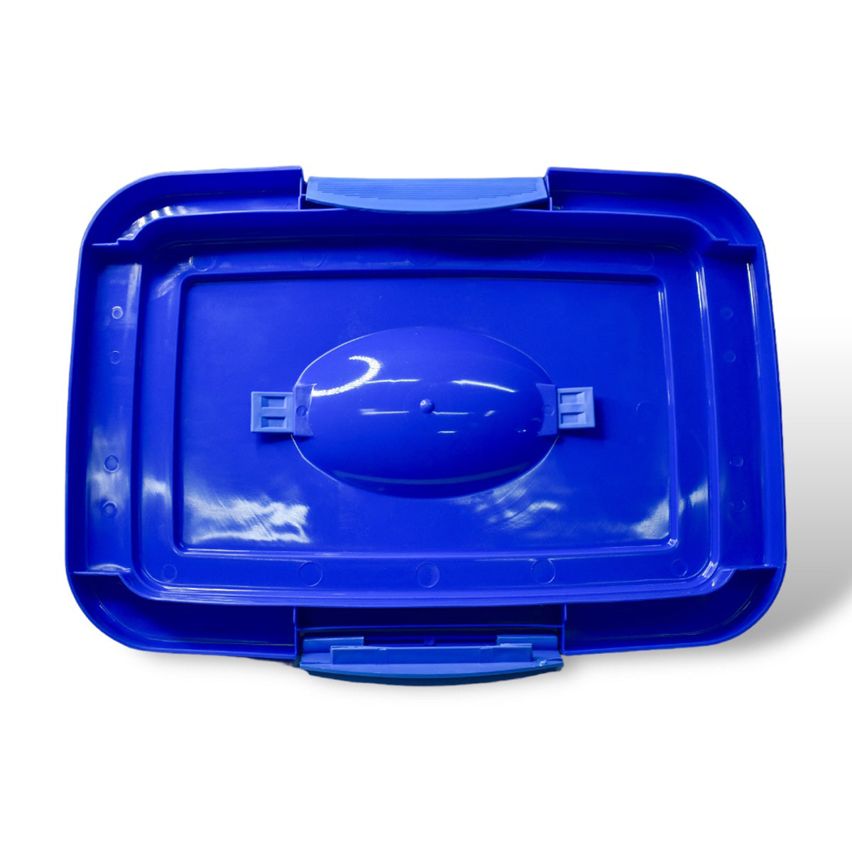 Caja de Almacenamiento Mediana