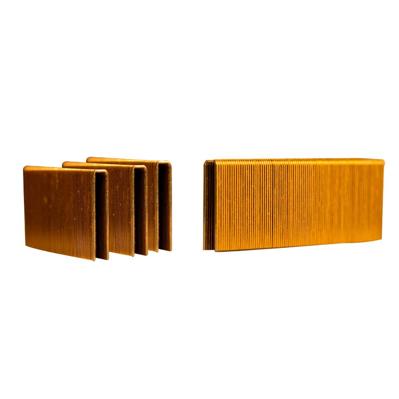 Caja de Grapas con 5000 Piezas - 1 1/4X1"