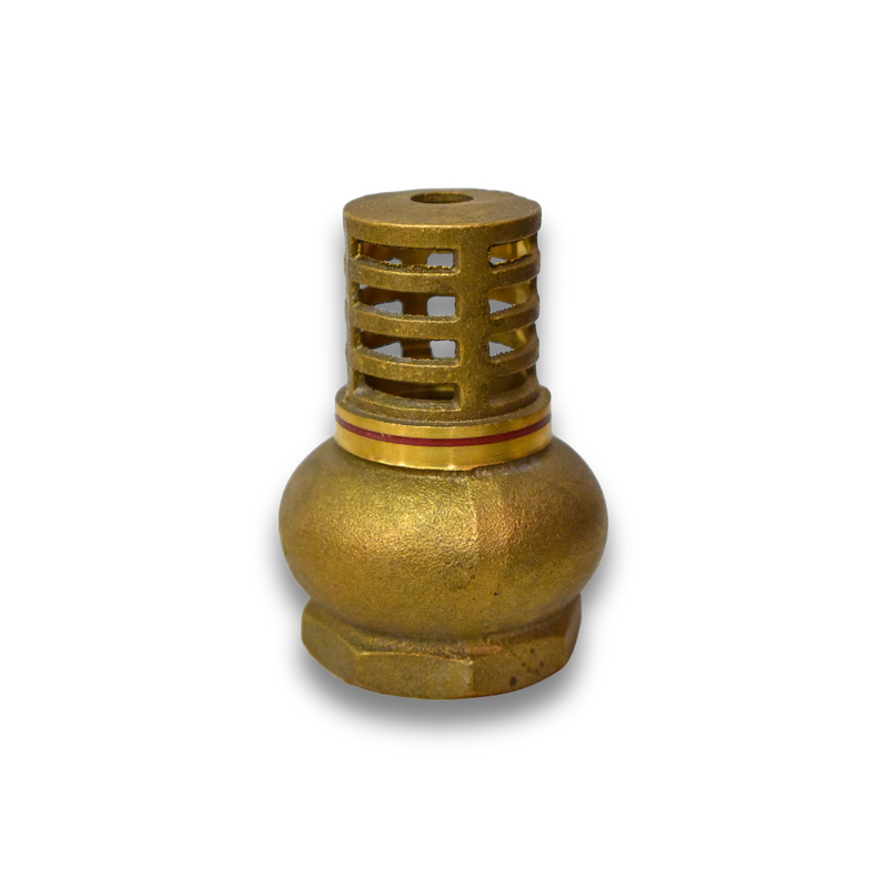 Válvula de Pie (Pichancha) con Canastilla Plástica - 1 1/4"