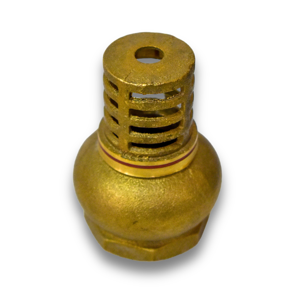 Válvula de Pie (Pichancha) con Canastilla Plástica - 1 1/4"