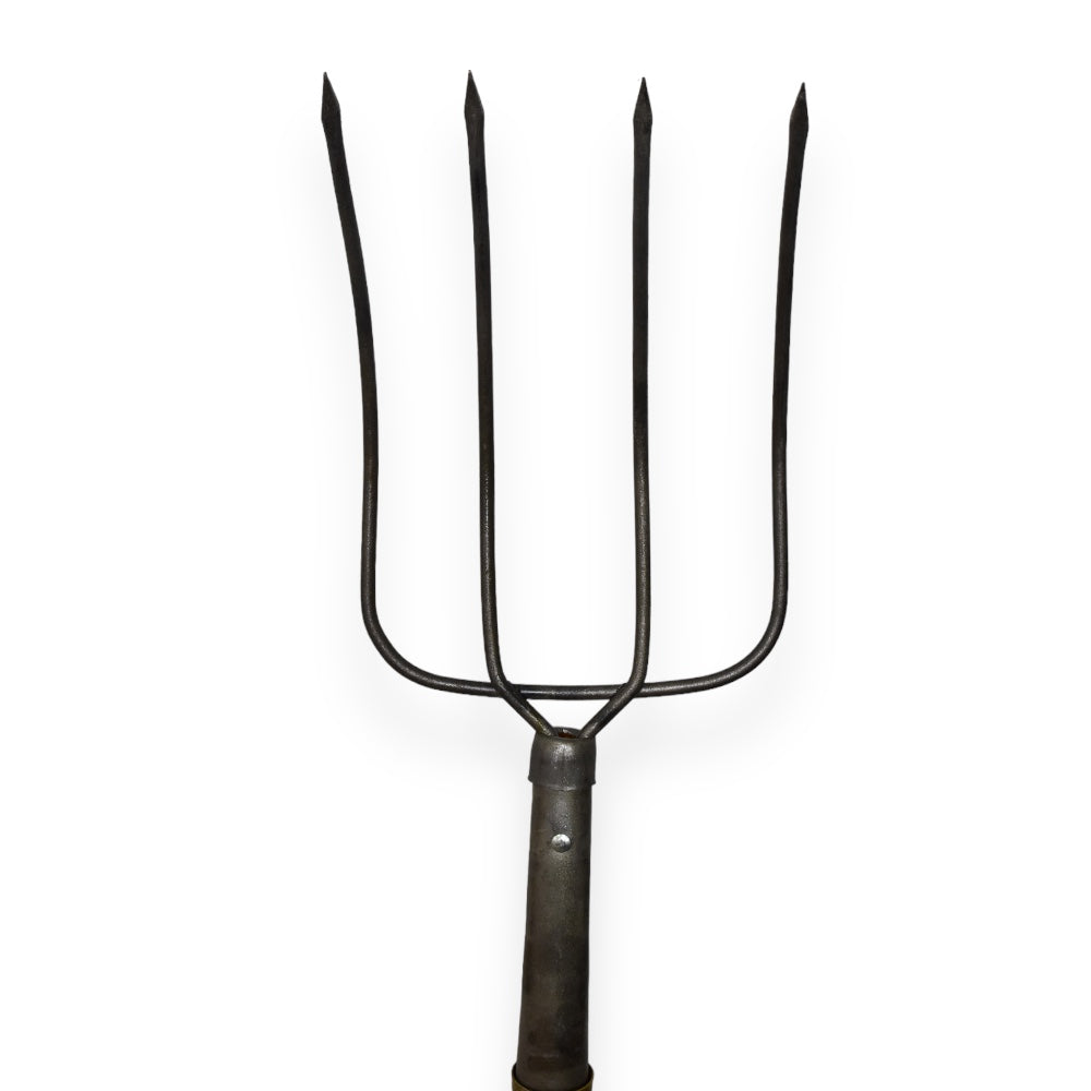 Bieldo Agricola Akron 90-86 |4 Dientes