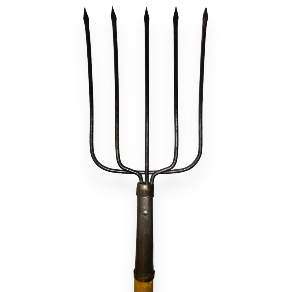 Bieldo Agricola Akron 90-87 | 5 Dientes