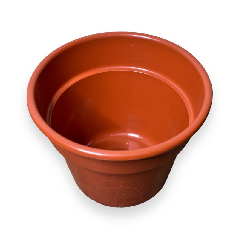 Maceta de Plástico distintos Colores - # 12