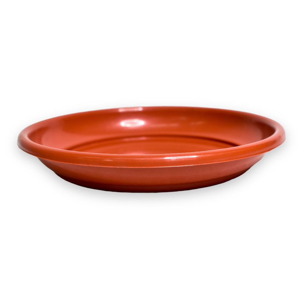 Plato para Maceta #7, #9, #10 y #12 - #12