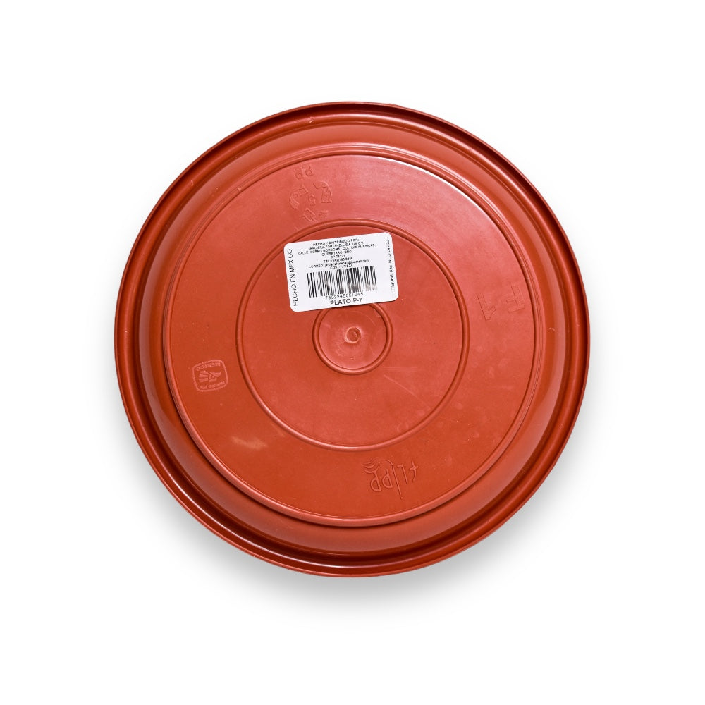Plato para Maceta #7, #9, #10 y #12 - #12
